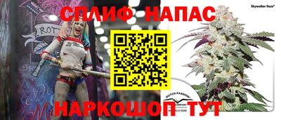 МДПВ Новодвинск
