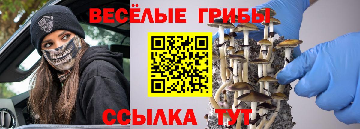 Галлюциногенные грибы мухоморы  Вход с VPN  Фролово 