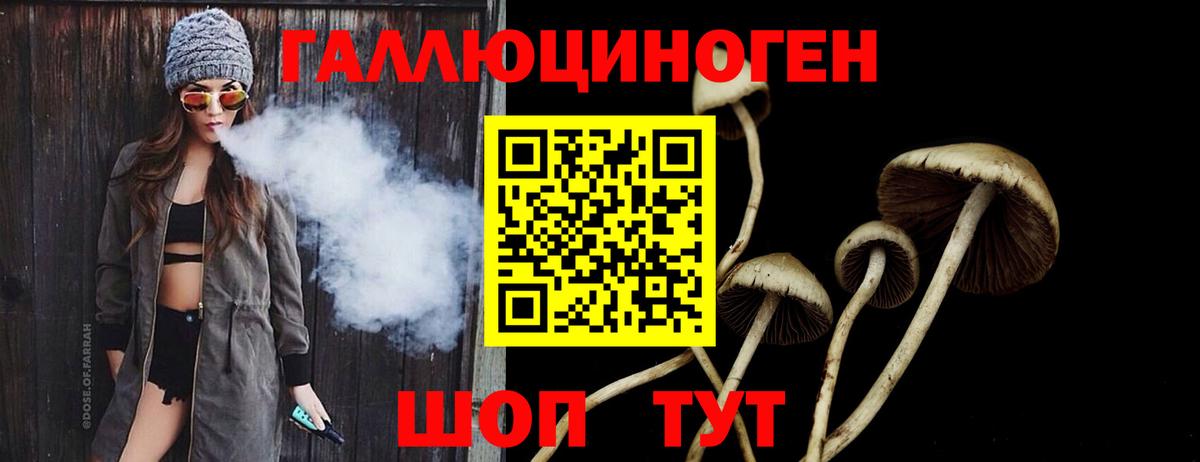 Галлюциногенные грибы Psilocybe Фролово